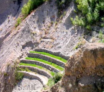 Տեռասավորում