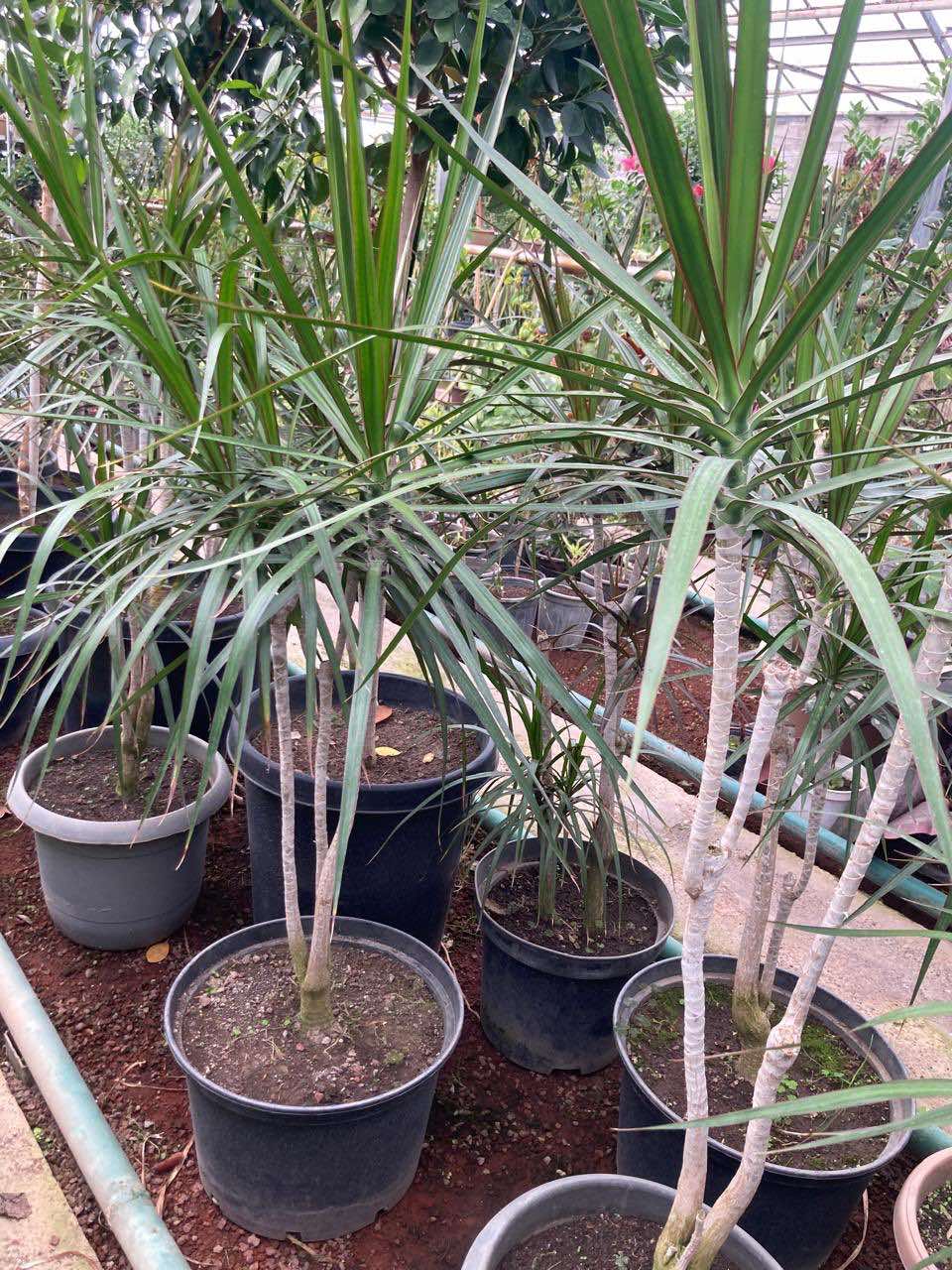 изображение_viber_2025-11-11_16-09-11-242